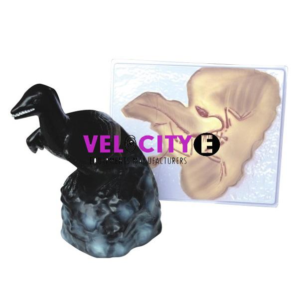 Archaeopteryx Fossils and Restitution