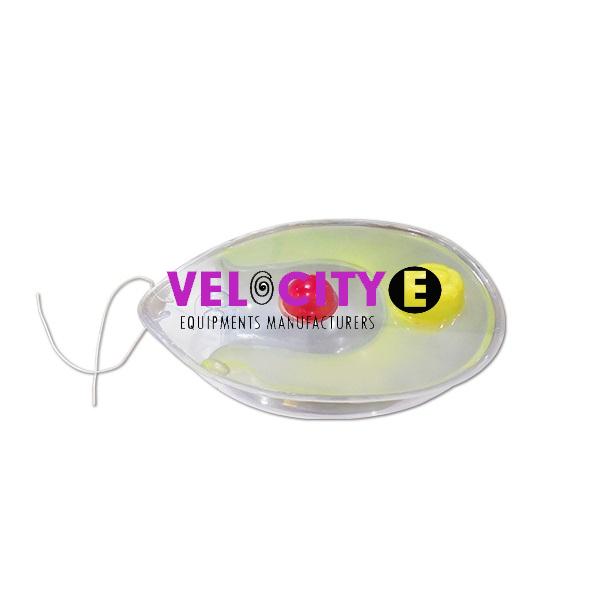 Chlamydomonas Reinhardtii Model