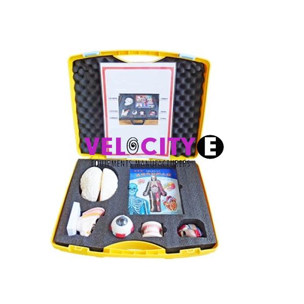 Human Body Lab Kit