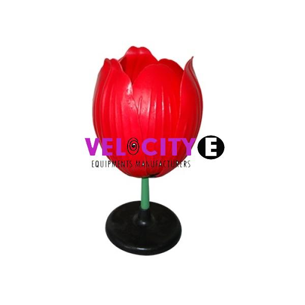 Tulip Model