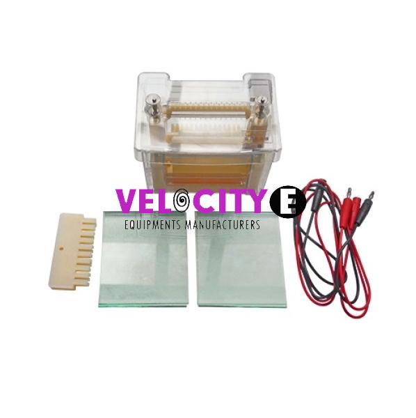 Vertical Electrophoresis Tank
