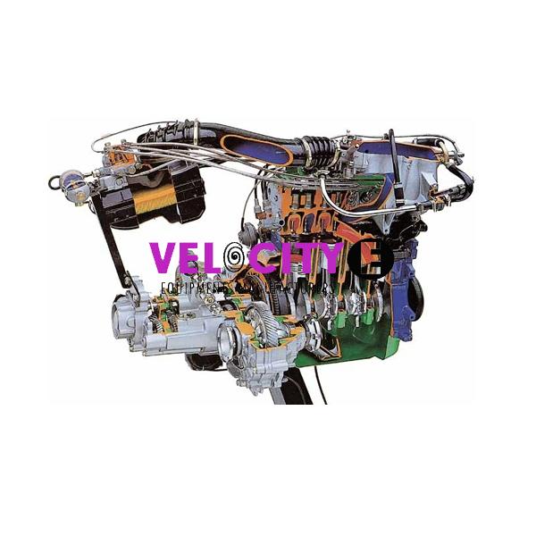 Working Model of MPFI Petrol Engine