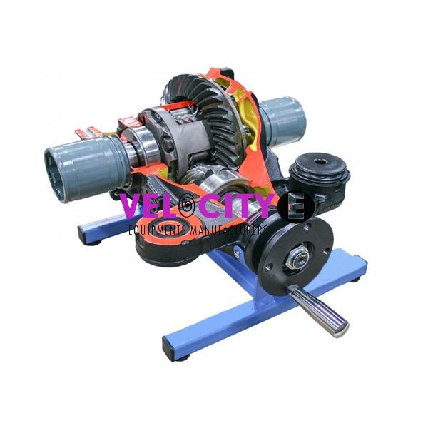 Working Model of Torsion Differential